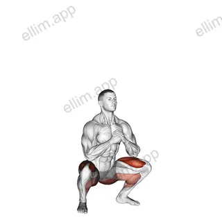 Bodyweight Drop Jump Squat exercise targeting Gluteus Maximus and Quadriceps