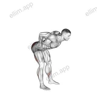 Bodyweight Good Morning exercise targeting Hips