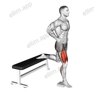Bodyweight Heel Elevated Bulgarian Split Squat exercise targeting Thighs
