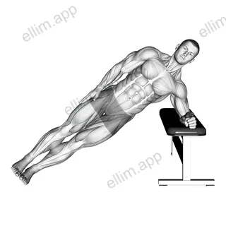 Bodyweight Incline Side Plank exercise targeting Waist and Obliques