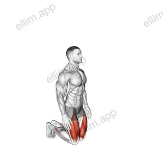 Bodyweight Kneeling Hold to Stand exercise targeting Thighs and Gluteus Maximus