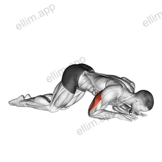 Bodyweight Kneeling Triceps Extension exercise targeting Upper Arms and Triceps Brachii