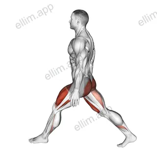 Bodyweight Low Split Squat exercise targeting Thighs