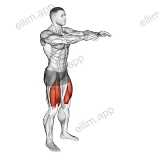 Bodyweight Pulse Squat exercise targeting Gluteus Maximus and Quadriceps
