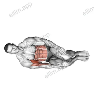 Bodyweight Side Lying Biceps Curl exercise targeting Upper Arms