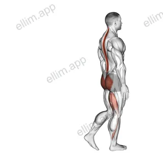Bodyweight Single Leg RDL exercise targeting Hips