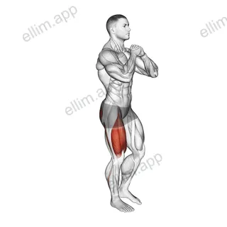Bodyweight Single Leg Squat exercise targeting Thighs