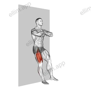 Bodyweight Single Leg Wall Squat exercise targeting Thighs