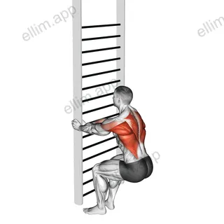 Bodyweight Squatting Row exercise targeting Back and Infraspinatus