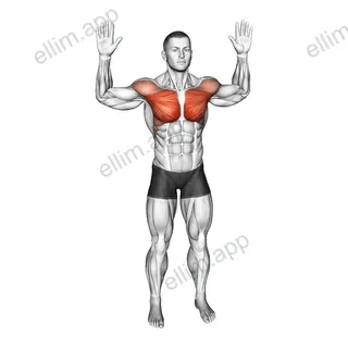 Bodyweight Standing Fly exercise targeting Chest and Pectoralis Major Clavicular Head