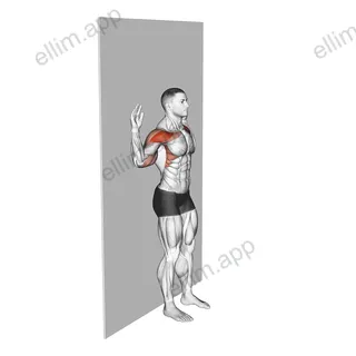 Bodyweight Standing Military Press Wall Supported exercise targeting Shoulders and Deltoid Anterior
