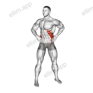 Bodyweight Standing Oblique Twist exercise targeting Waist