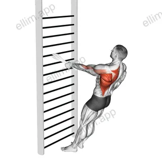 Bodyweight Standing One Arm Row (with towel) exercise targeting Back and Infraspinatus