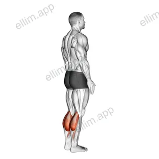 Bodyweight Standing Pulse Calf Raise exercise targeting Calves and Gastrocnemius