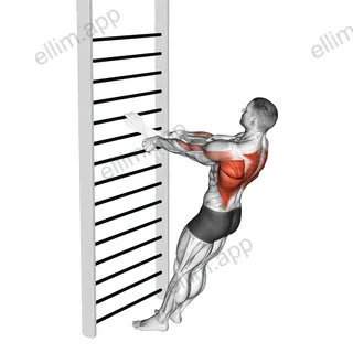 Bodyweight Standing Row (with towel) exercise targeting Back and Infraspinatus