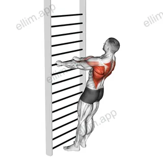 Bodyweight Standing Row exercise targeting Back and Infraspinatus