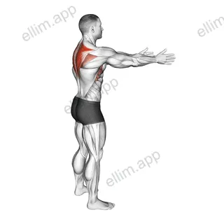Bodyweight Standing Scapula Row exercise targeting Back and Trapezius Lower Fibers