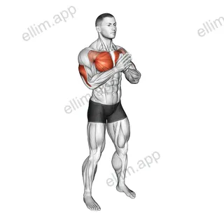 Bodyweight Svend Press exercise targeting Chest