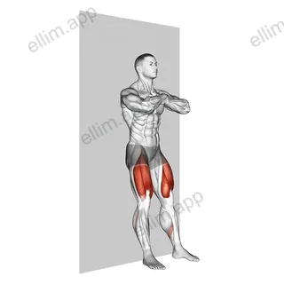 Bodyweight Wall Squat exercise targeting Thighs and Gluteus Maximus