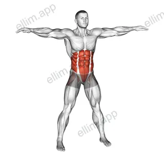 Bodyweight Windmill exercise targeting Waist and Obliques