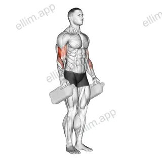 Bottle Hammer Curl exercise targeting Upper Arms and Brachialis