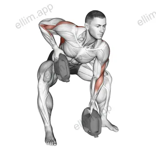 Bottle Weighted Gorilla Row exercise targeting Back