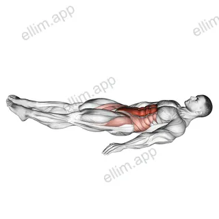 Bottoms Up exercise targeting Waist and Rectus Abdominis