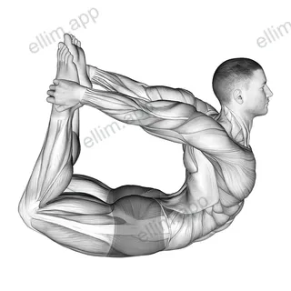Bow Yoga Pose exercise targeting Hips and Erector Spinae