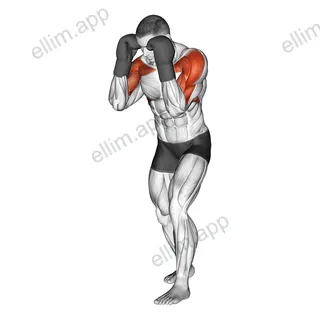 Boxing Block exercise targeting Plyometrics