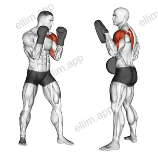 Boxing Jab (with partner) exercise targeting Plyometrics