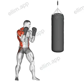 Boxing Right Cross (with boxing bag) exercise targeting Plyometrics