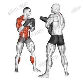 Boxing Right Uppercut (with partner) exercise targeting Plyometrics