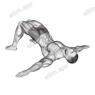 Bridge Hip Abduction exercise targeting Hips and Adductor Brevis
