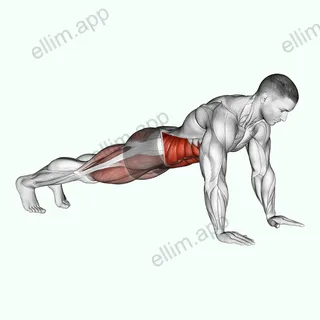 Bridge - Mountain Climber (Cross Body) exercise targeting Waist and Obliques