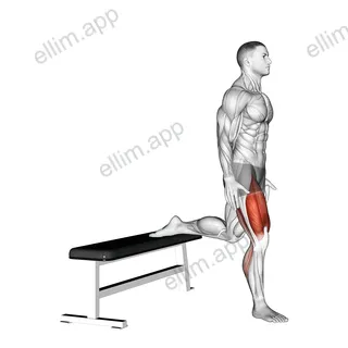 Bulgarian Jump Squat exercise targeting Thighs