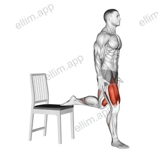 Bulgarian Split Squat with Chair exercise targeting Thighs and Gluteus Maximus