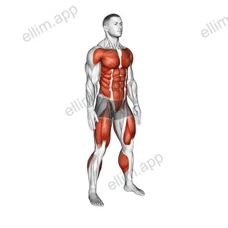 Burpee Squat exercise targeting Plyometrics