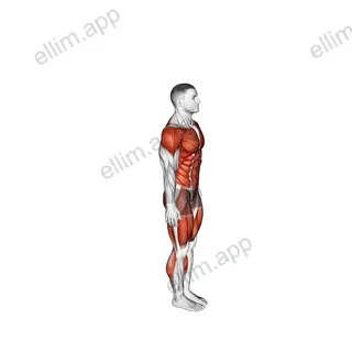 Burpee Twist exercise targeting Plyometrics