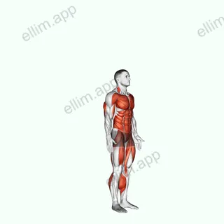 Burpee exercise targeting Cardio