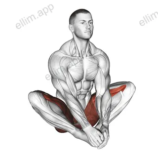 Butterfly Yoga Flaps exercise targeting Hips and Adductor Brevis