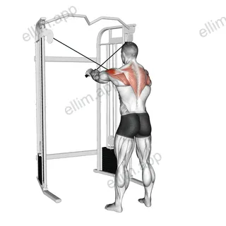 Cable 45 degrees Reverse Fly exercise targeting Shoulders
