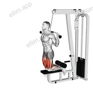 Cable Assisted Inverse Leg Curl exercise targeting Thighs and Hamstrings
