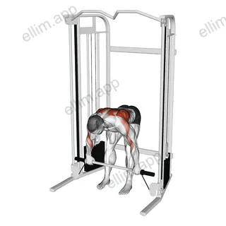 Cable Bent Over Row with Bar exercise targeting Back and Infraspinatus
