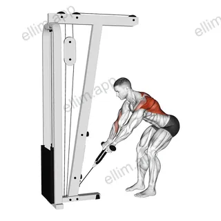 Cable Bent Over Row with Rope Attachment exercise targeting Back