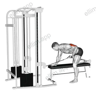 Cable Bent Over Single Arm Kickback exercise targeting Upper Arms