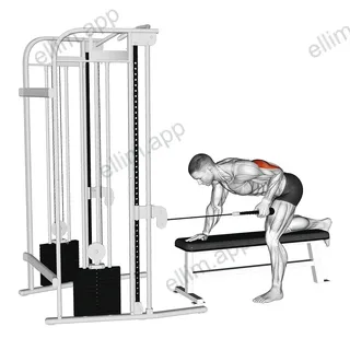Cable Bent Over Single Arm Neutral Grip Kickback with Rope Attachment exercise targeting Upper Arms