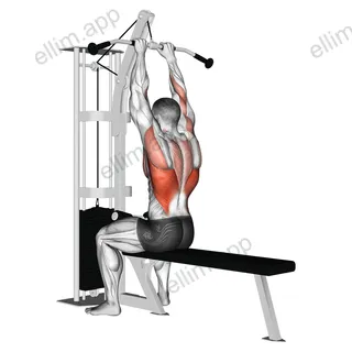 Cable Close Grip Front Lat Pulldown exercise targeting Back