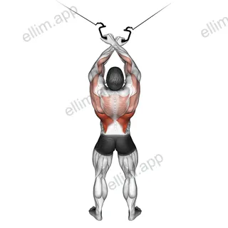Cable Cross over Lateral Pulldown exercise targeting Back