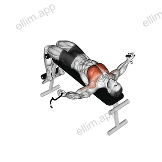 Cable Decline Fly exercise targeting Chest and Pectoralis Major Sternal Head