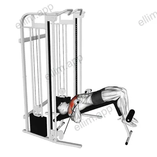 Cable Decline Press exercise targeting Chest and Pectoralis Major Sternal Head